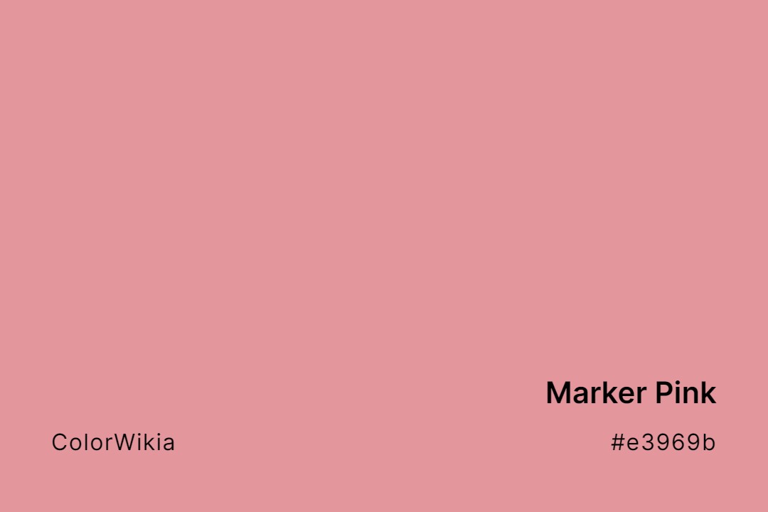 marker pink color e3969b