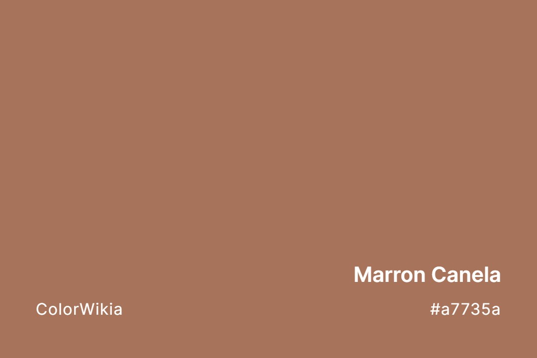 Marron Canela Color – #a7735a: Codes and Complete Breakdown