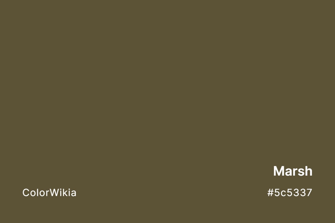marsh color 5c5337
