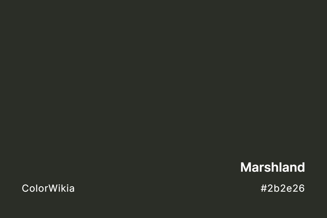 Marshland Color – #2b2e26: Codes and Complete Breakdown