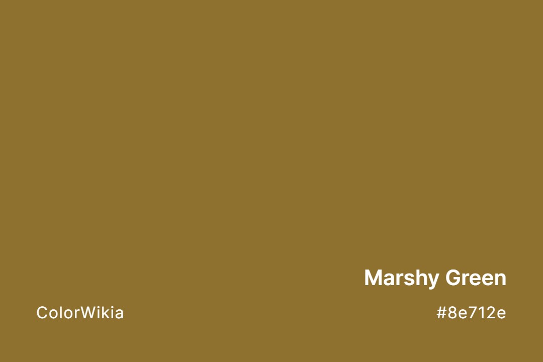 Marshy Green Color – #8e712e: Codes and Complete Breakdown