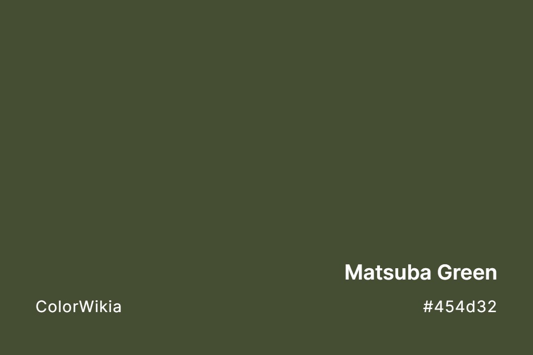 Matsuba Green Color – #454d32: Codes and Complete Breakdown
