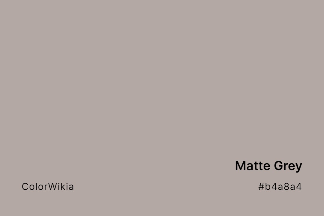 matte grey color b4a8a4