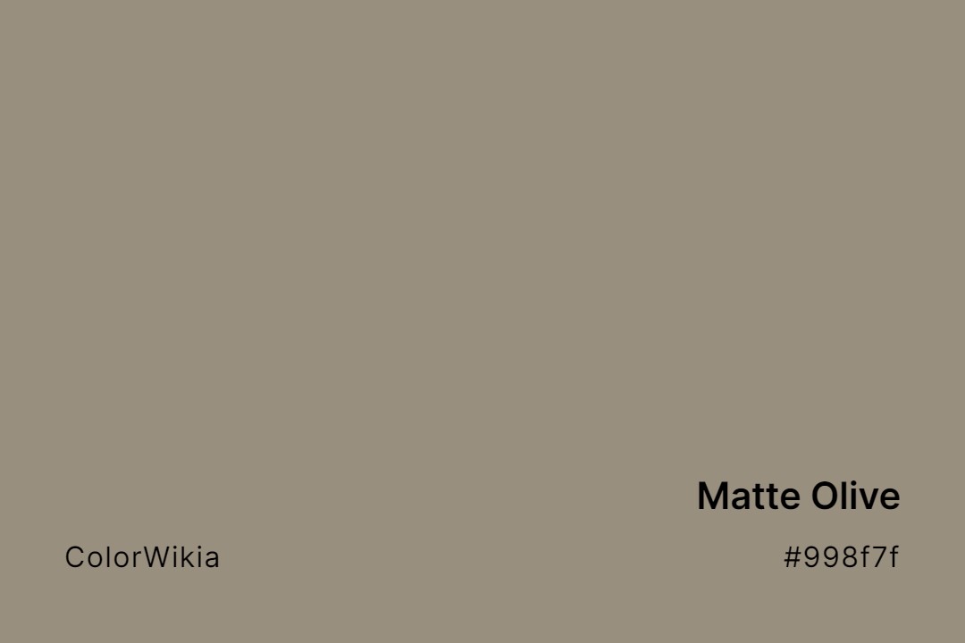 matte olive color 998f7f
