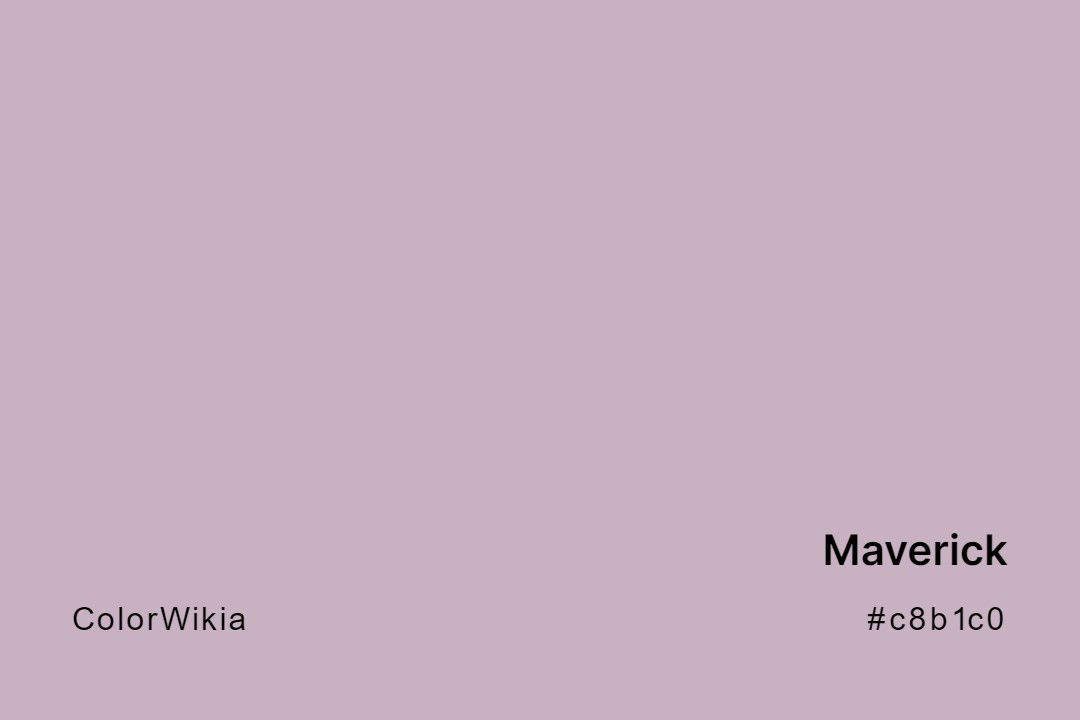 Maverick Color – #c8b1c0: Codes and Complete Breakdown