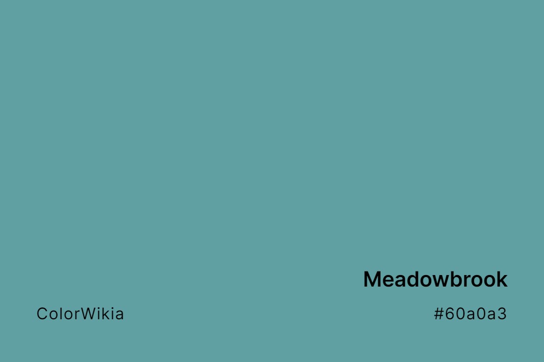 Meadowbrook Color – #60a0a3: Codes and Complete Breakdown