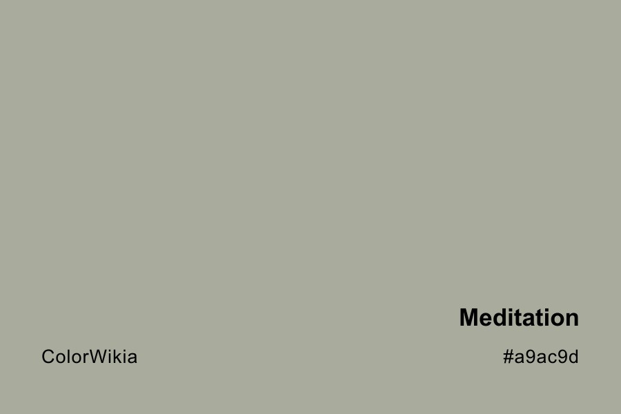 Meditation Color – #a9ac9d: Codes and Complete Breakdown