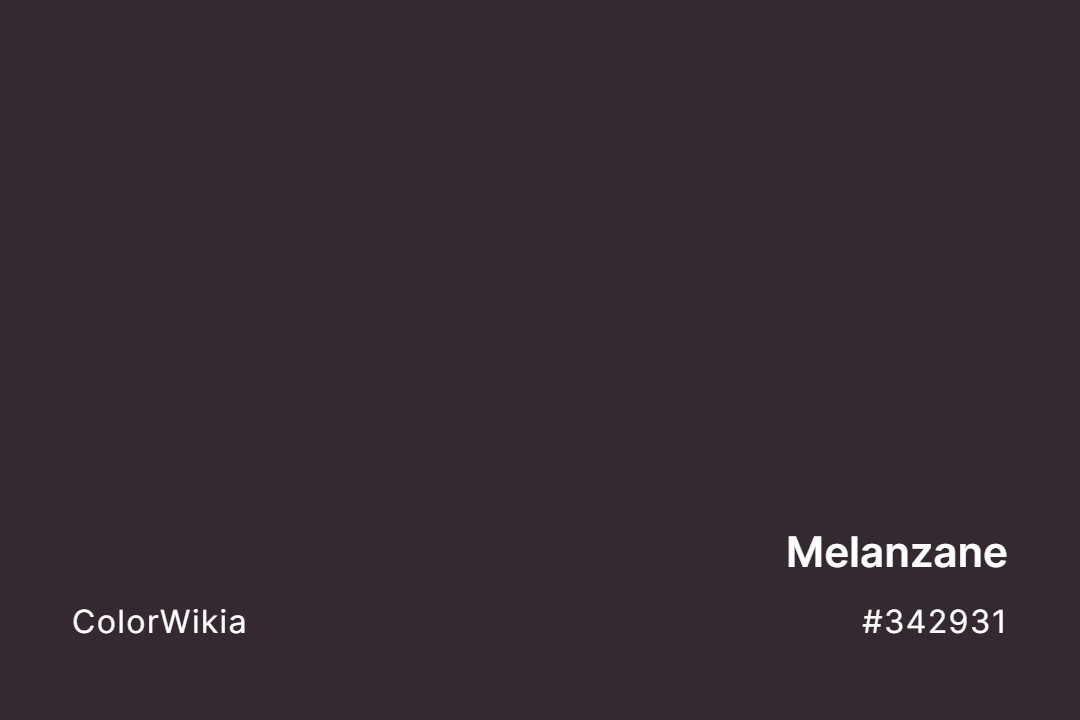 Melanzane Color – #342931: Codes and Complete Breakdown