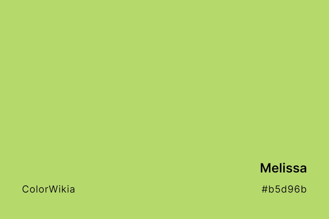 Melissa Color – #b5d96b: Codes and Complete Breakdown