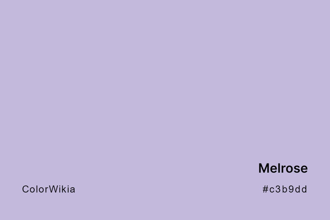 Melrose Color – #c3b9dd: Codes and Complete Breakdown
