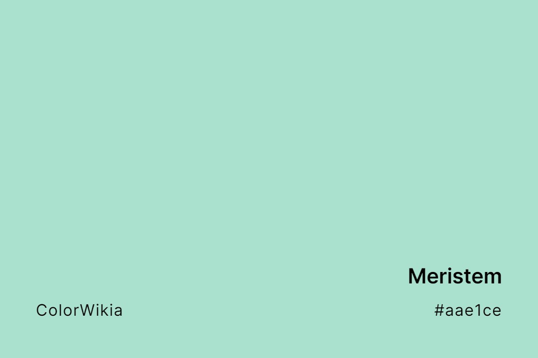 Meristem Color – #aae1ce: Codes and Complete Breakdown