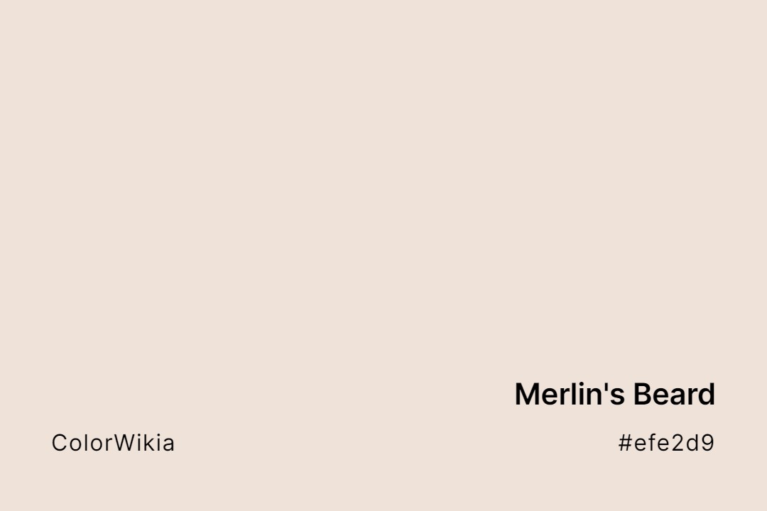 merlins beard color efe2d9