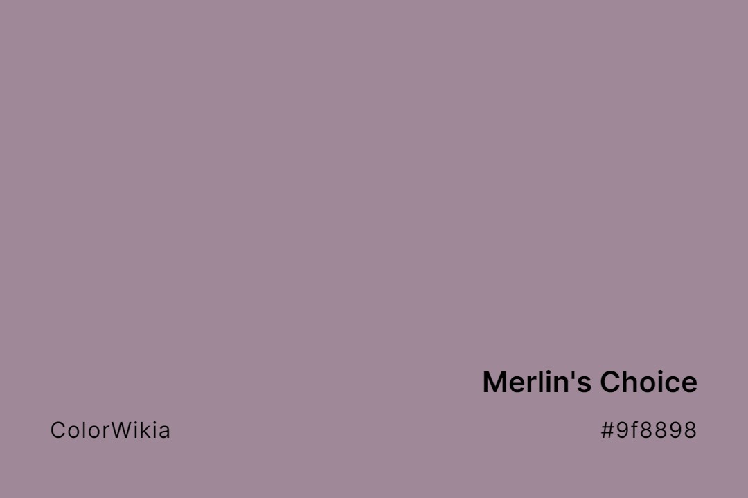 merlins choice color 9f8898