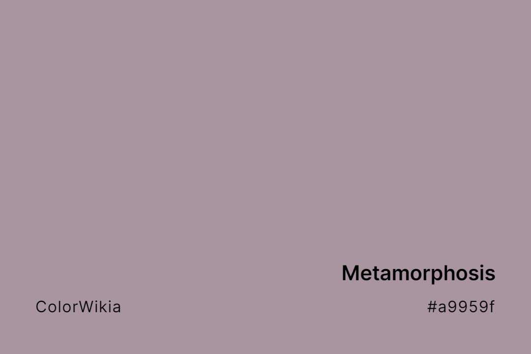 Metamorphosis Color – #a9959f: Codes and Complete Breakdown