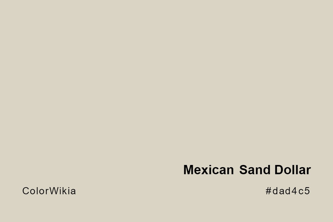 mexican sand dollar color dad4c5