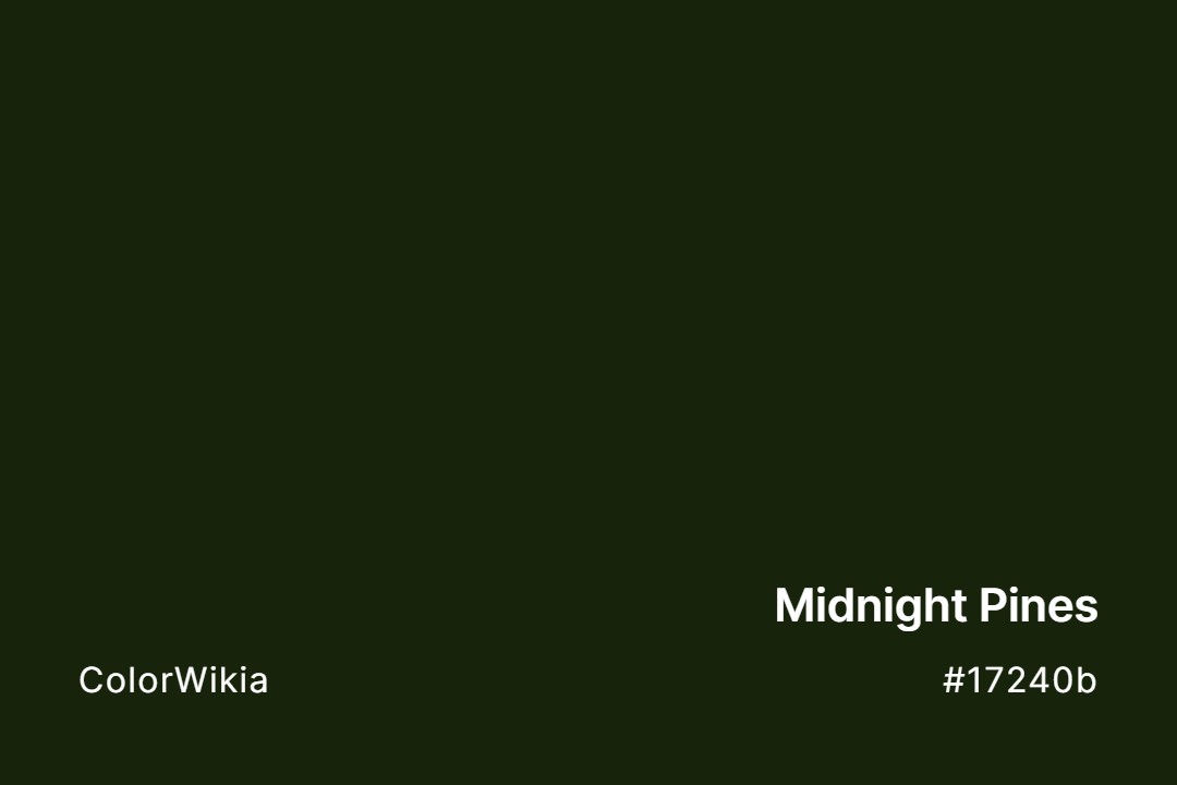midnight pines color 17240b