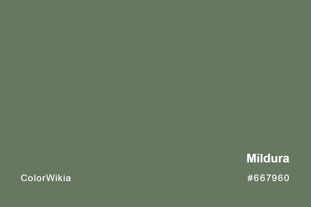 Mildura Color – #667960: Codes and Complete Breakdown