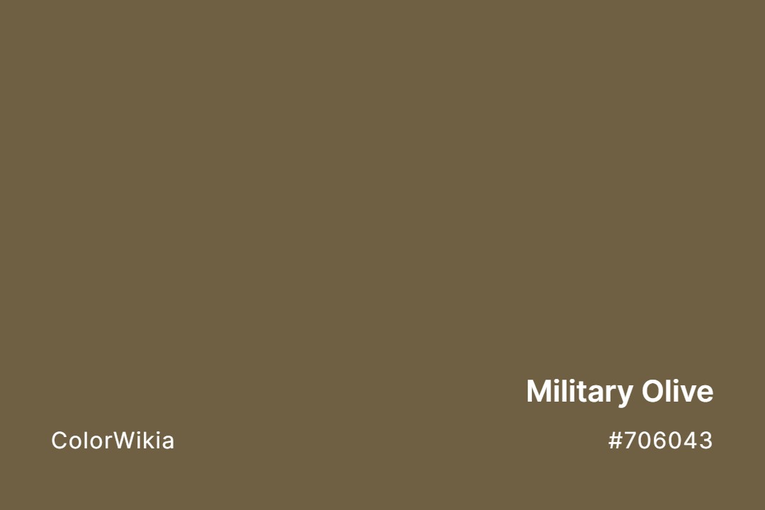 military olive color 706043