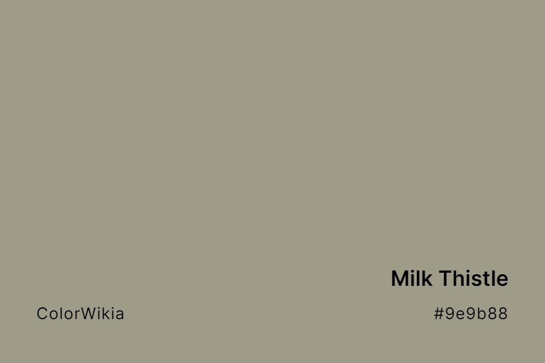 milk thistle color 9e9b88