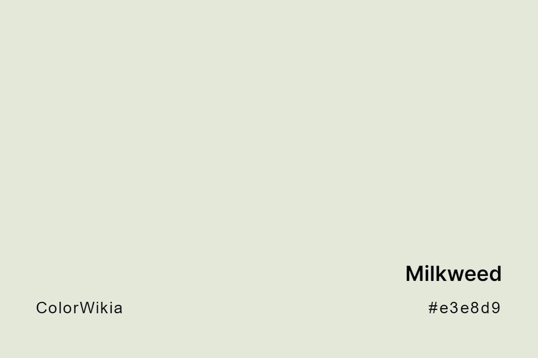 Milkweed Color – #e3e8d9: Codes and Complete Breakdown
