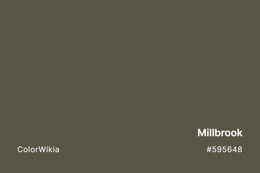 Millbrook Color – #595648: Codes and Complete Breakdown