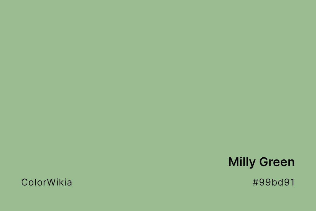 Milly Green Color – #99bd91: Codes and Complete Breakdown