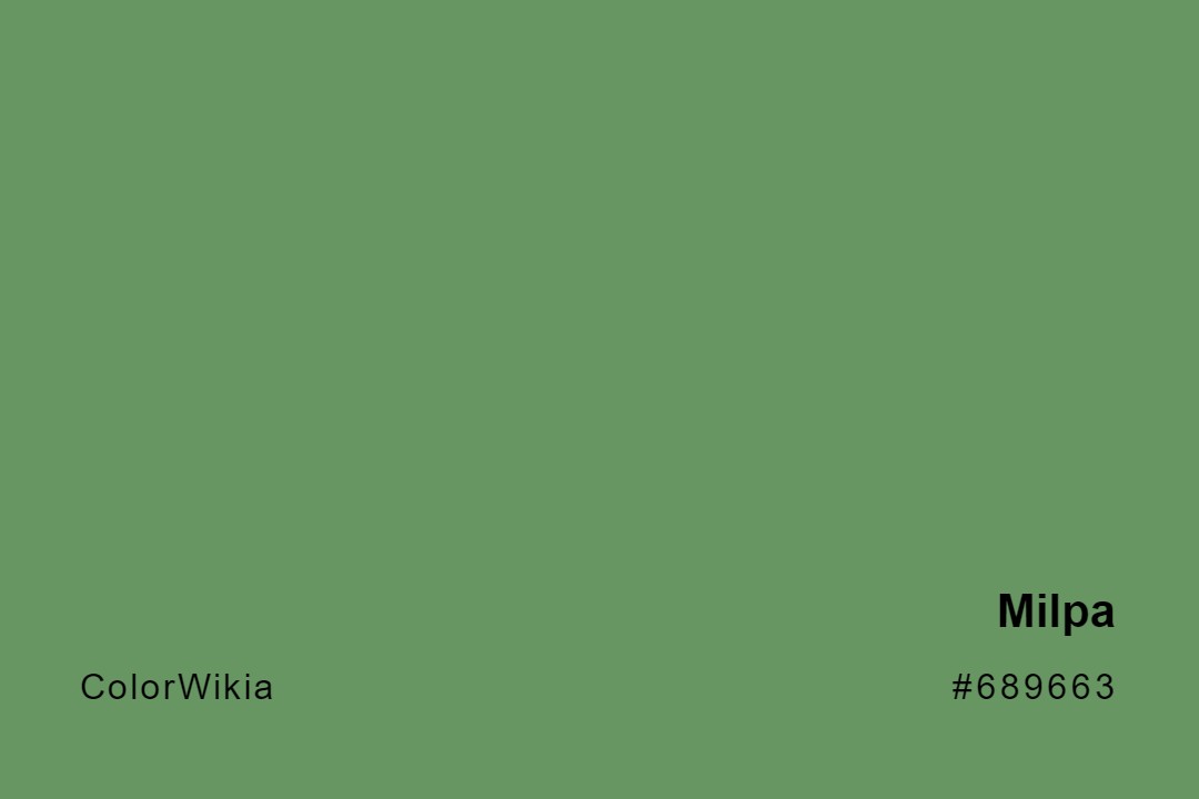 Milpa Color – #689663: Codes and Complete Breakdown
