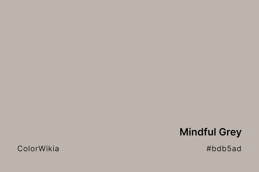 Mindful Grey Color – #bdb5ad: Codes and Complete Breakdown