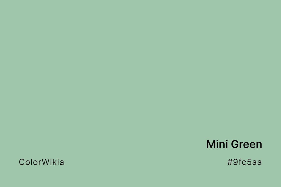 Mini Green Color – #9fc5aa: Codes and Complete Breakdown