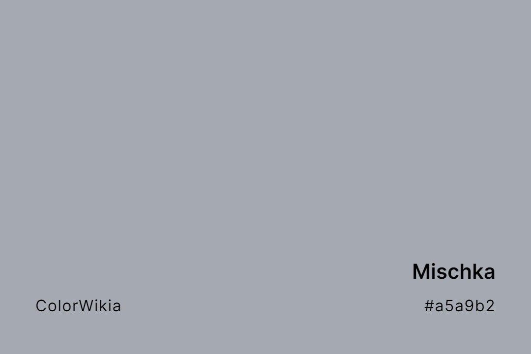 Mischka Color – #a5a9b2: Codes and Complete Breakdown