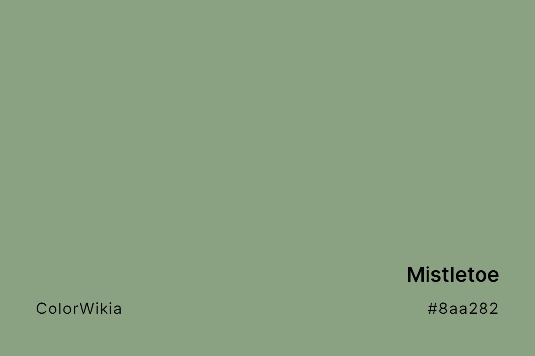 Mistletoe Color – #8aa282: Codes and Complete Breakdown