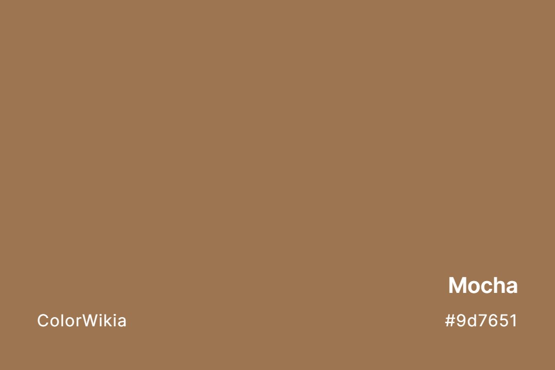 mocha color 9d7651