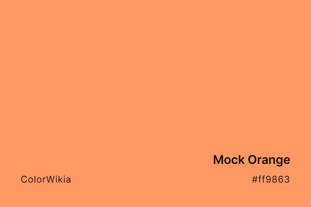 Mock Orange Color – #ff9863: Codes and Complete Breakdown