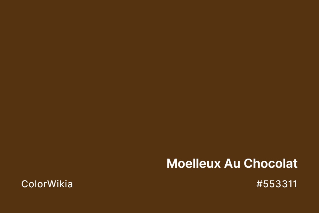 Moelleux Au Chocolat Color – #553311: Codes and Complete Breakdown