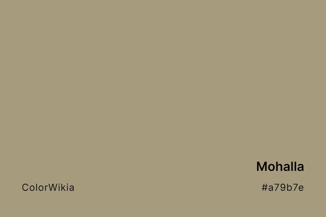 Mohalla Color – #a79b7e: Codes and Complete Breakdown