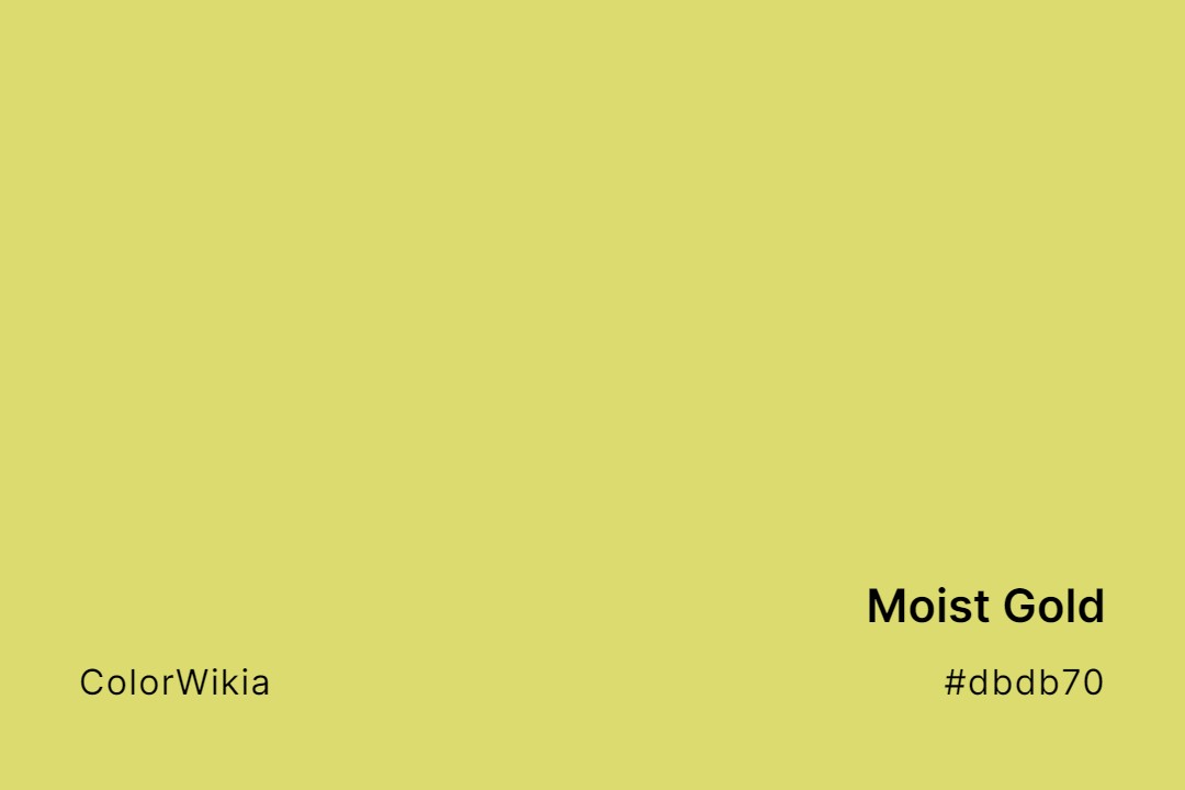Moist Gold Color – #dbdb70: Codes and Complete Breakdown