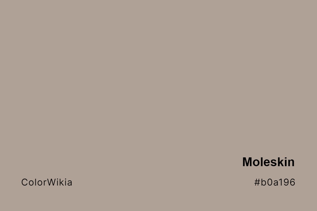 Moleskin Color – #b0a196: Codes and Complete Breakdown
