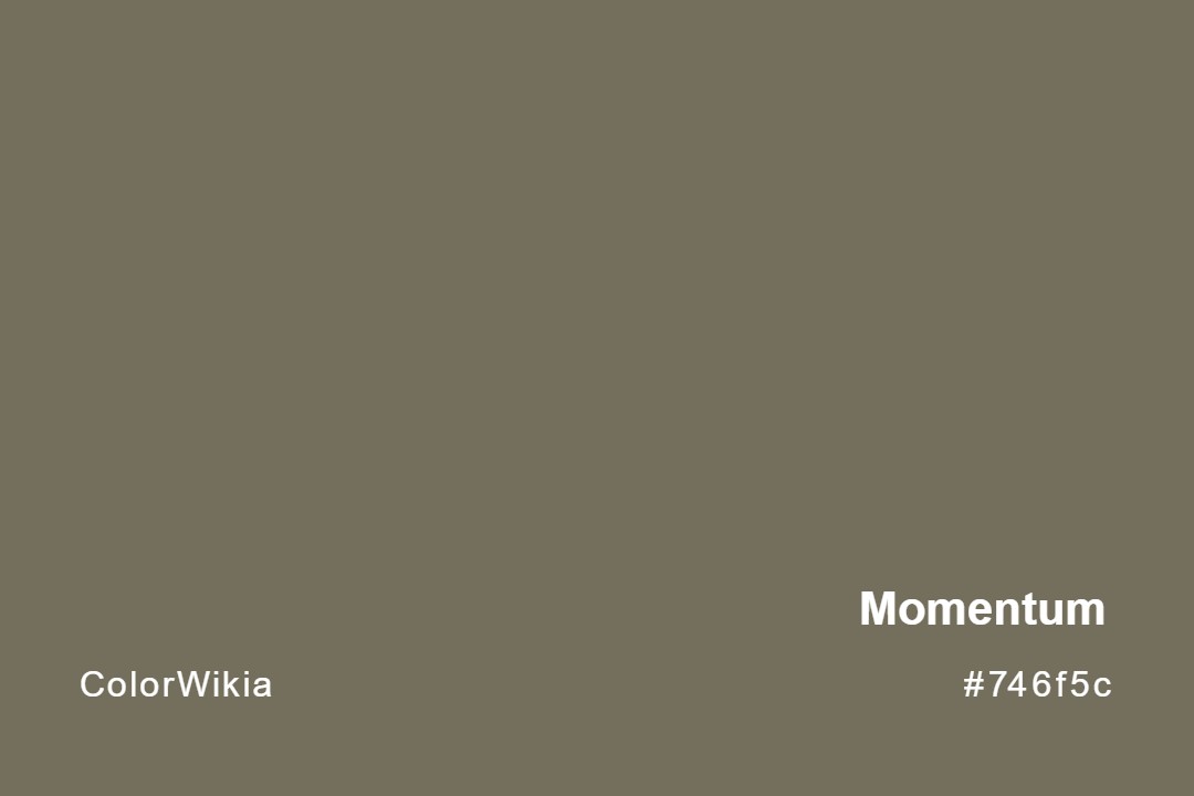 Momentum Color – #746f5c: Codes and Complete Breakdown
