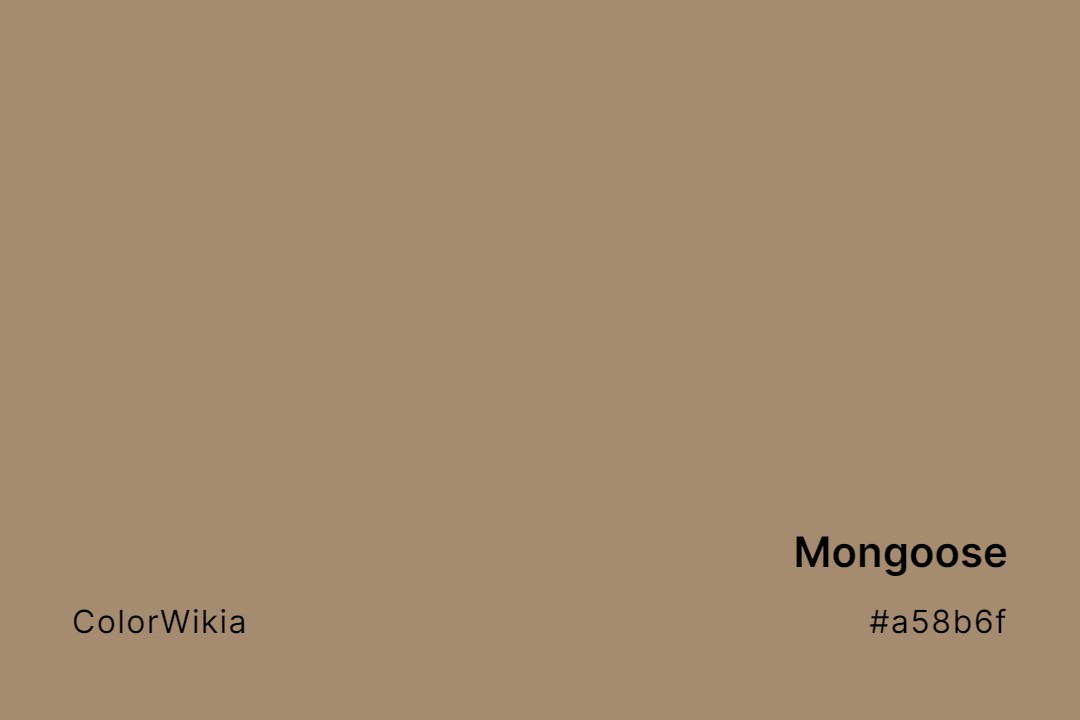 Mongoose Color – #a58b6f: Codes and Complete Breakdown