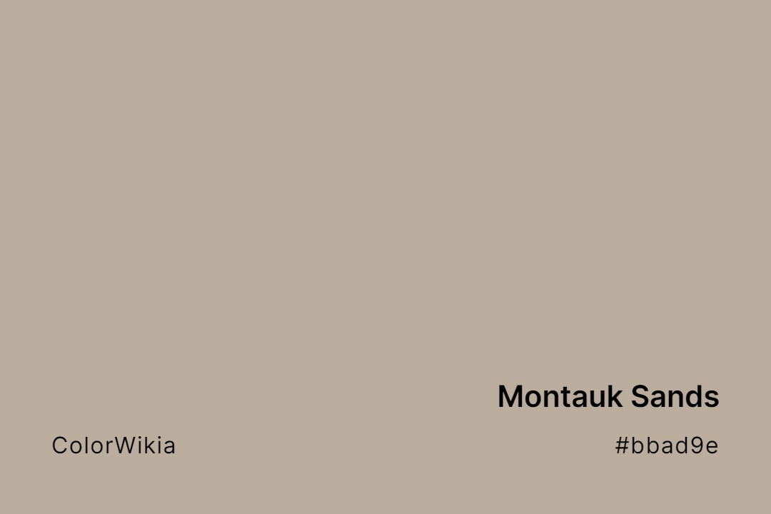 Montauk Sands Color – #bbad9e: Codes and Complete Breakdown