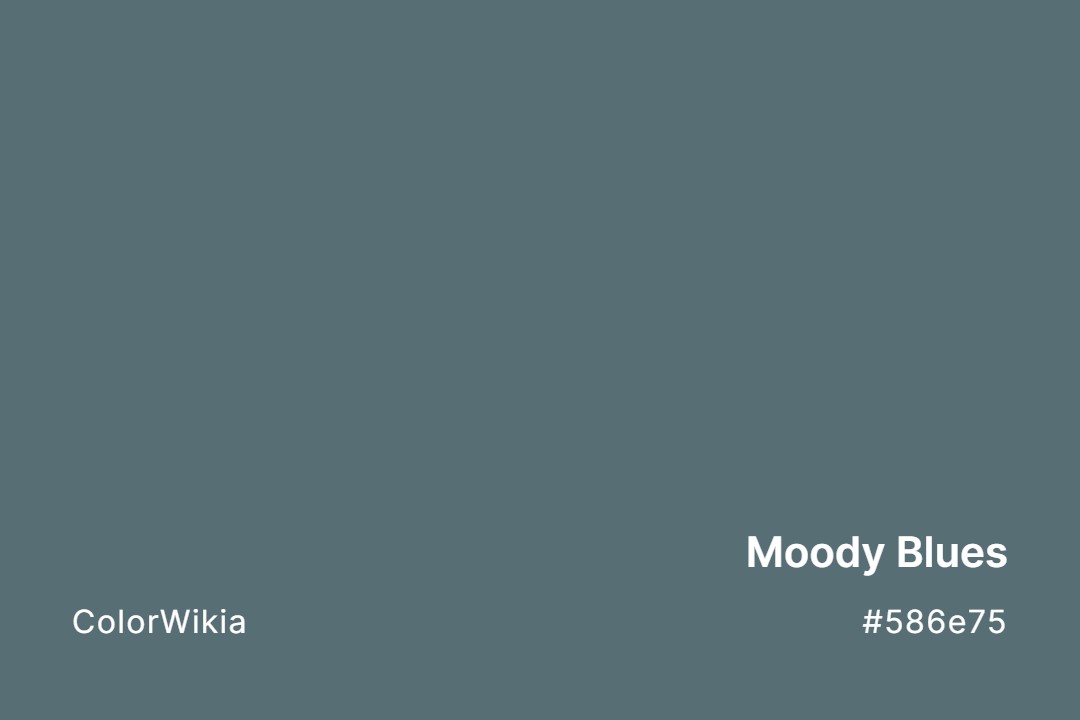 moody blues color 586e75