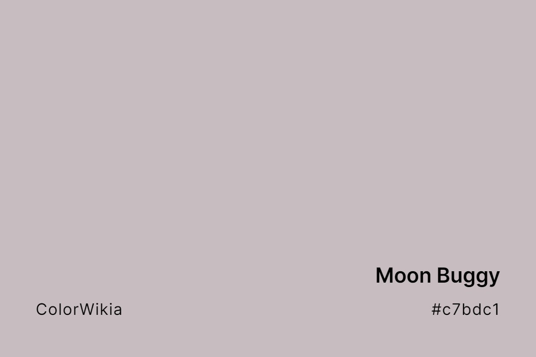 moon buggy color c7bdc1