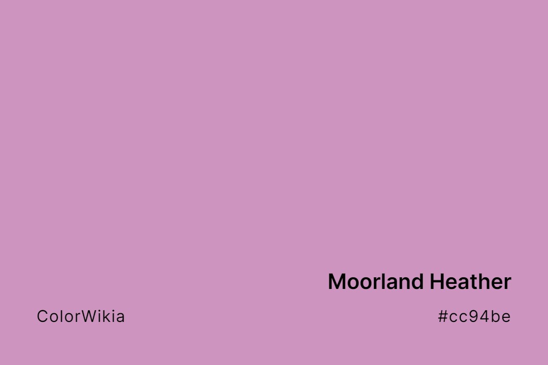 moorland heather color cc94be