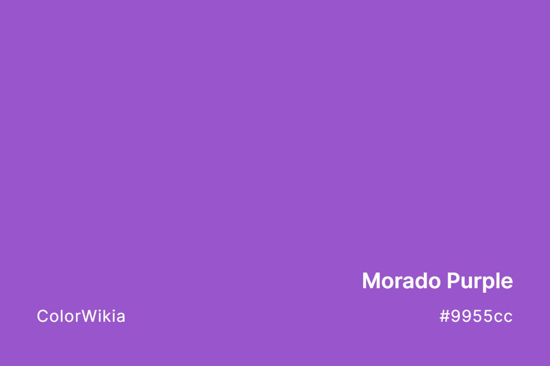 Morado Purple Color – #9955cc: Codes and Complete Breakdown