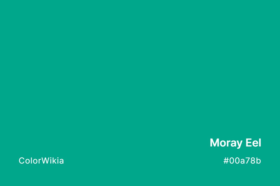 moray eel color 00a78b