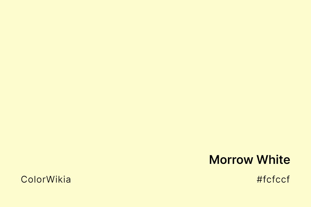 Morrow White Color – #fcfccf: Codes and Complete Breakdown