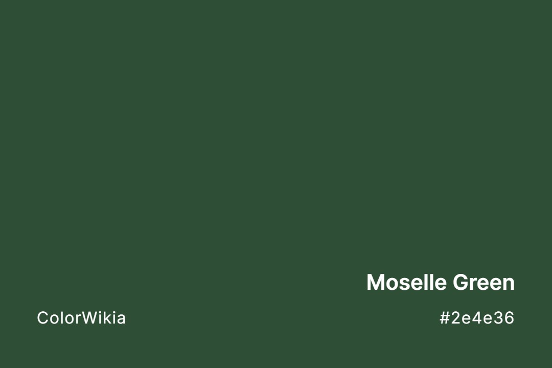 Moselle Green Color – #2e4e36: Codes and Complete Breakdown