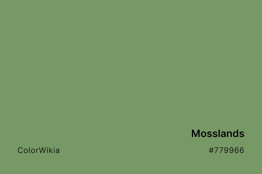 Mosslands Color – #779966: Codes and Complete Breakdown