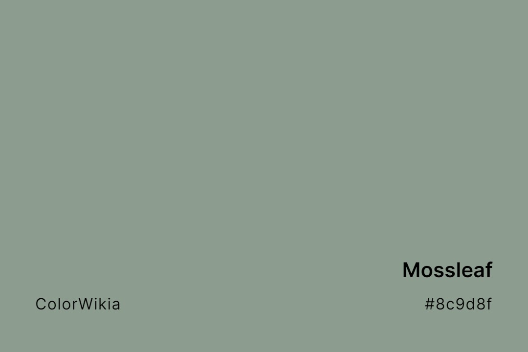 Mossleaf Color – #8c9d8f: Codes and Complete Breakdown