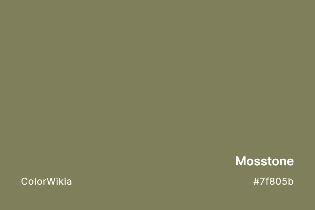 Mosstone Color – #7f805b: Codes and Complete Breakdown